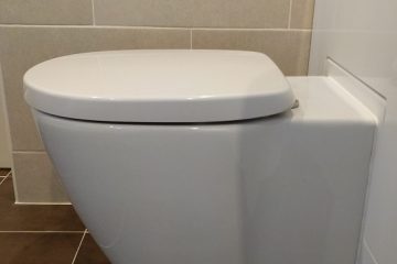 inset toilet