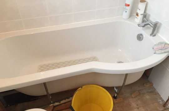 bathcrop2