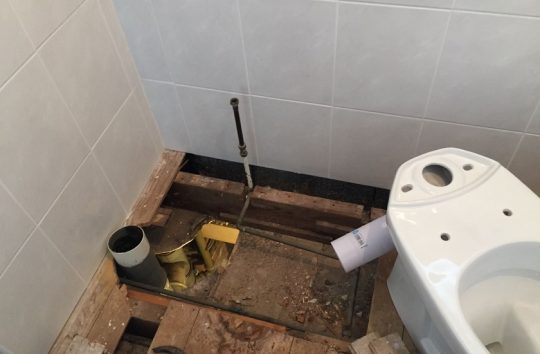 toiletcrop1