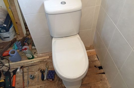 toiletcrop2