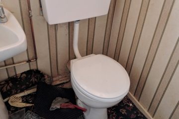 low level toilet replaced